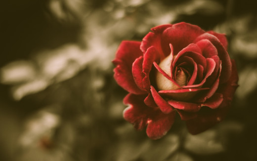762281 (a): :2560x1601